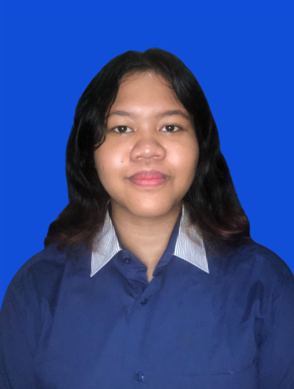 gambar-1